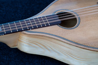 Octave mandolin detail