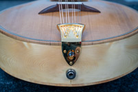Octave mandolin detail