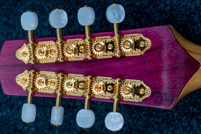 Octave mandolin detail