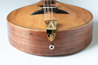Octave mandolin detail