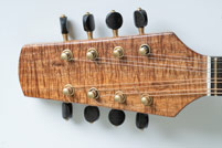 Mandola detail