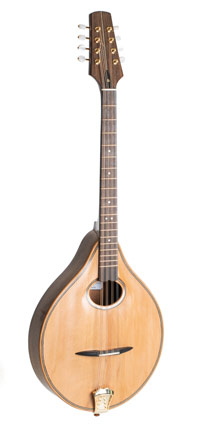 Irish bouzouki