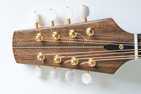 Octave mandolin detail