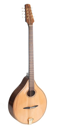 Irish bouzouki