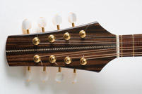 Mandola detail