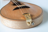 Mandola detail