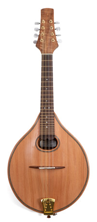 Mandolin