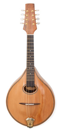 Mandolin