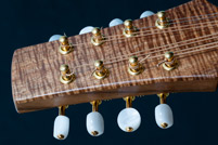 Octave mandolin detail