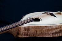 Octave mandolin detail