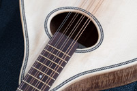 Octave mandolin detail